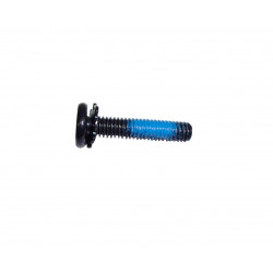 Screw Assembly D4.0 L20.0 LG